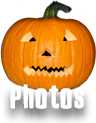photos pumpkin